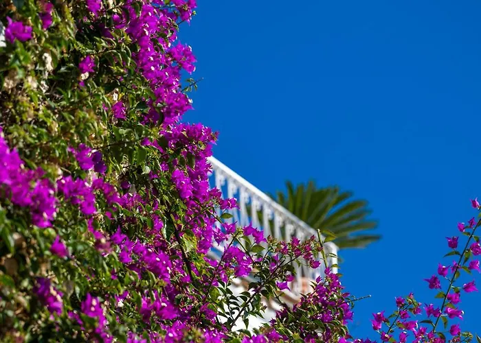 Casetta Arienzo ポジターノ